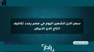 سعر الأرز الشعير اليوم في مصر يحدد تكاليف إنتاج الأرز الأبيض